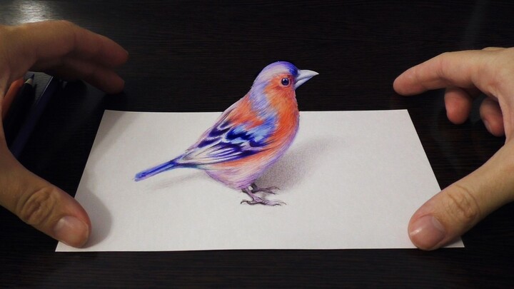 俄罗斯画家的彩铅3D小鸟