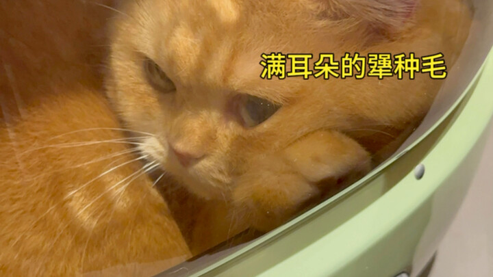 Finally got a diagnosis at four years old…