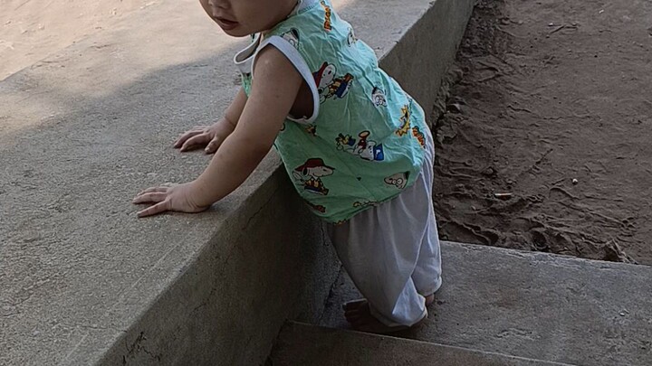 con yêu