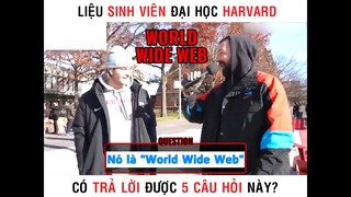 Sinh viên Harvard có trả lời được 5 câu hỏi này