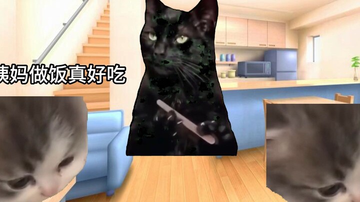 [Cat meme] วันที่อารมณ์หลากหลายเมื่อตอนเด็กๆ