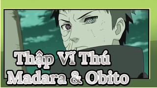 Madara Wanna Be Thập Vĩ Thú / Obito Phản Công Khiến Madara Bất Ngờ | Naruto