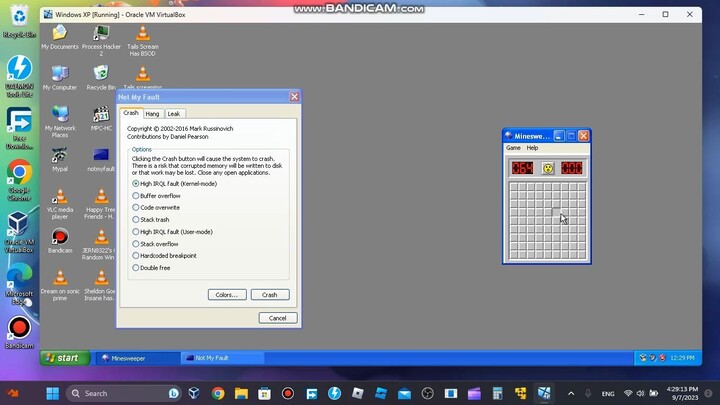 Minesweeper Has BSOD VM