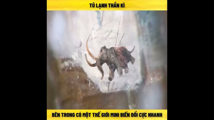 Chiếc tủ lạnh thần kì, bên trong có một thế giới thu nhỏ biến đổi cực nhanh