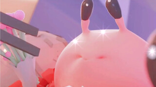 حياة سرطان البحر القاطن