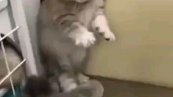 Aku ketika mau deketin cewek