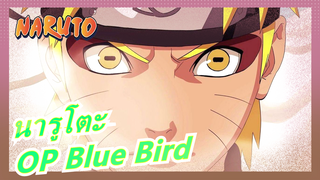 [นารูโตะ] OP Blue Bird  โคเวอร์ไวโอลินกับพ่อแม่