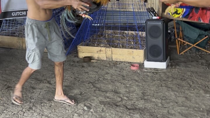 Freebies 👊🏻 5k Sweater