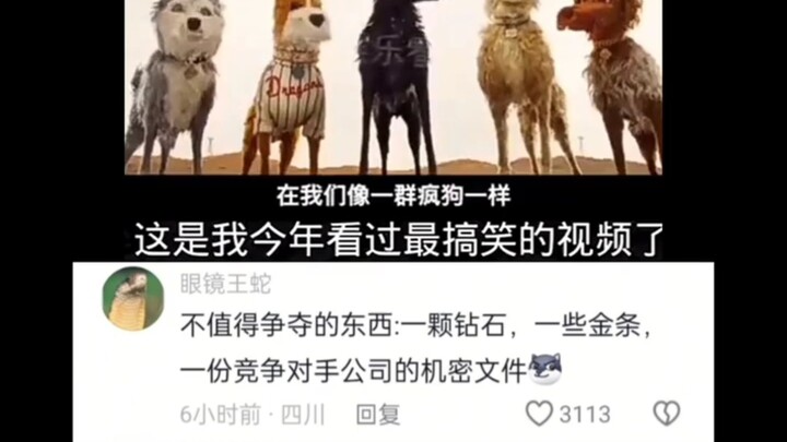Stray dog: Oh my gosh, what kind of life I used to lead! 😋