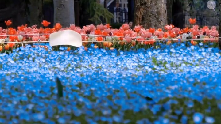 “Màu sắc mang lại sức sống mới cho ống kính.”