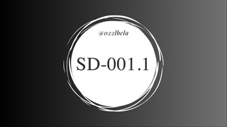 SD-001.1