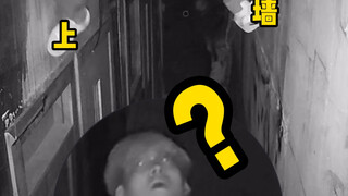 就不能招点胆子大的npc么