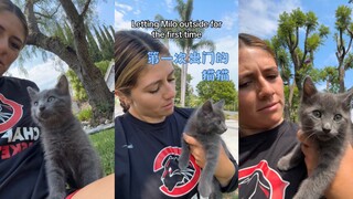 عندما تخرج القطة للمرة الأولى