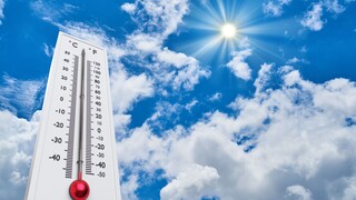 It's so hot—even the Arctic is wearing short sleeves now!