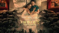 INDIGO: What Do You See? [2023] Full Movie