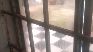 🌬️