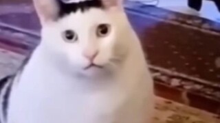 ♿ทำไม~ทำไม~ทำไม♿