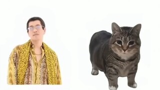 ⚡⚡⚡⚡洗脑神曲PPAP旋转猫版⚡⚡⚡⚡