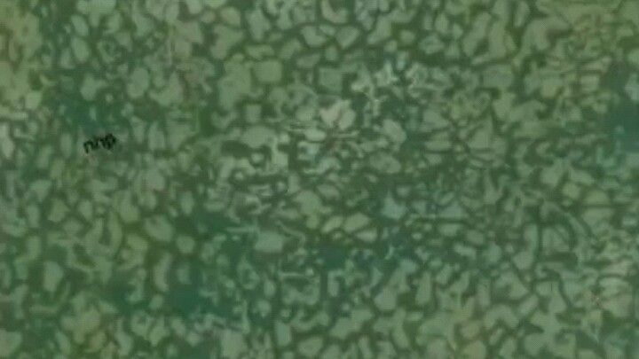 คุณหมึก!