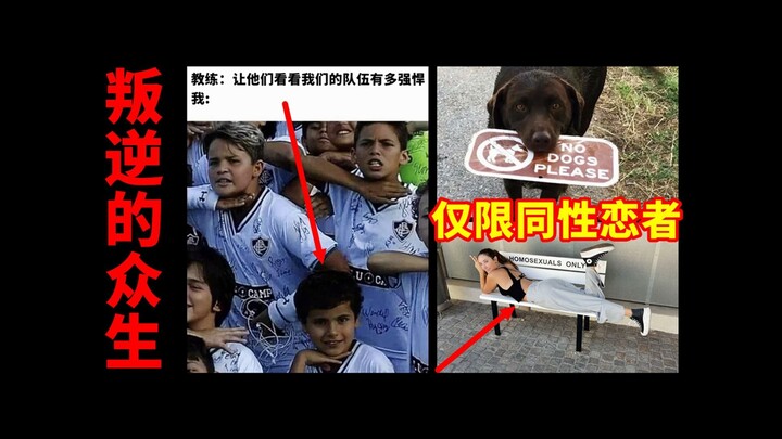 “Chúng Sinh Nổi Loạn”