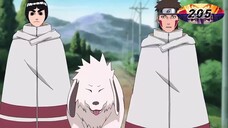 NARUTO SHIPPUDEN | EP 205-206 | Tagalog Dubbed