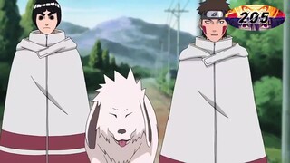 NARUTO SHIPPUDEN | EP 205-206 | Tagalog Dubbed