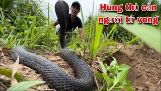 Quay Lại Nơi Xẩy Ra Vụ Việc Người Dân Bị Rắn Hổ Mang Cắn M.ất M.ạng Truy Tìm Hung Thủ