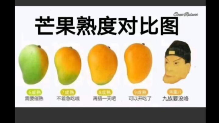 Silly Memes | Mango Ripeness Level