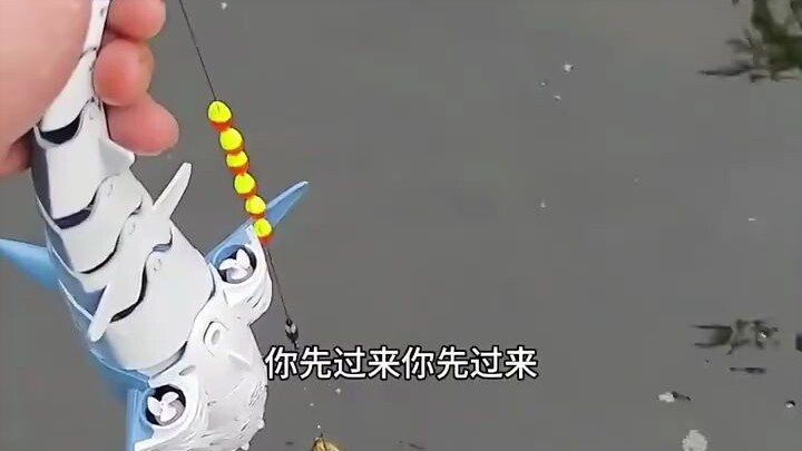 玩虫虫的遥控鲨鱼竟然发生了这么离谱的事！你遇到的离谱事有多离谱？