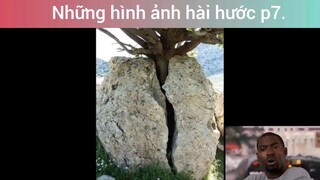 Những hình ảnh hài hước p7