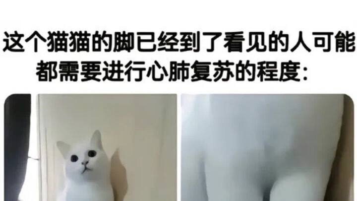 “Real-life, internet-famous meme images”