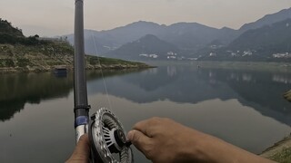 感受一下大物的压迫感