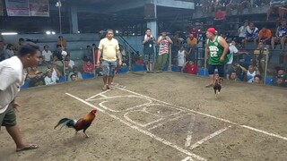 7 months old winner . 7 / 10 ang laban tangkad  ng kalaban 🤣. Muntik na mak perfect sa exam