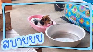 โลกของแสนดี ตอน แอบลงอ่าง