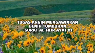 isi Alquran 👹