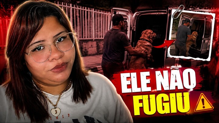 MEU MARIDO DEU MEU CACHORRO PARA ADOÇÃO — E DISSE QUE ELE FUGIU 😡🐶