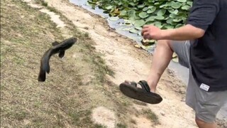 ความจริงพิสูจน์แล้วว่าการตกปลาได้หรือไม่ไม่เกี่ยวข้องกับอุปกรณ์!