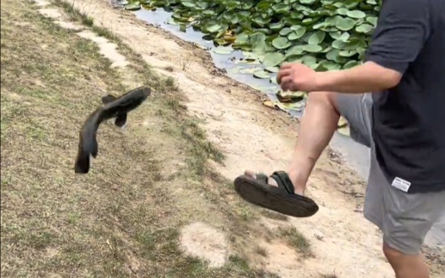 Thực tế chứng minh việc câu được cá hay không chẳng liên quan gì đến trang bị cả!