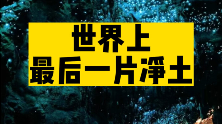 The mysterious Antarctic Circle, pristine New Zealand—nature’s darlings.