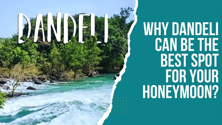 Why Dandeli Can Be The Best Spot For Your Honeymoon?