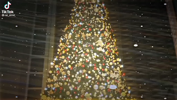 Merry Christmas ☃️