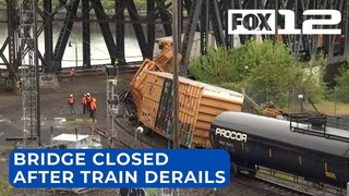 Train derailment shuts down Steel Bridge