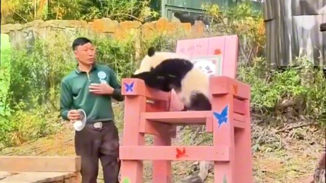 Best Pranks and Jumpscare Compilation