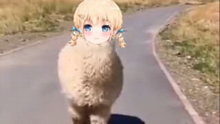 I stumbled upon an alpaca-shaped bag—so cute!