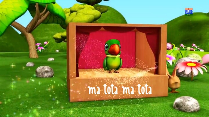 Ma tota ma tota