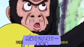 感觉自己又看了一集银魂
