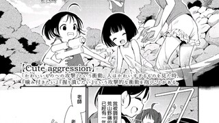 乐园
