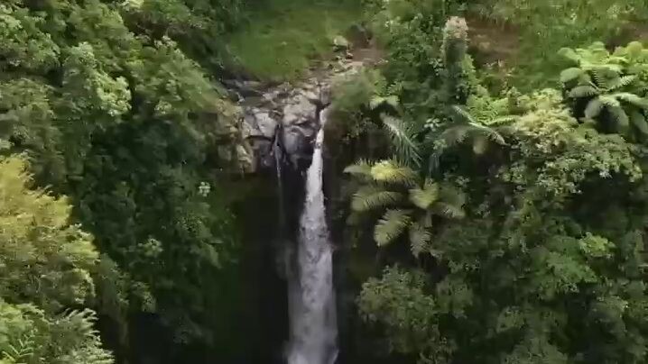 Kedung kayang