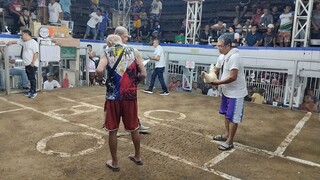 win taytay cockpit arena