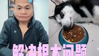 【Pan Hong suka main anjing】Mengatasi masalah dasar!